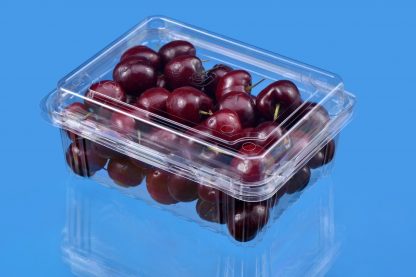 500G FRUIT PUNNET