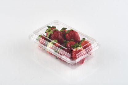 Strawberry Punnet 190R1