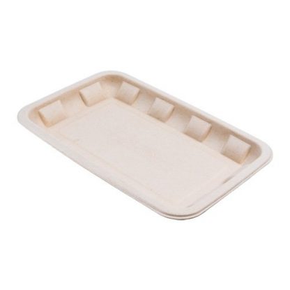 NATURAL SUGARCANE PULP TRAY 8 x 5