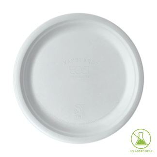 SUGARCANE PLATE 10 INCH